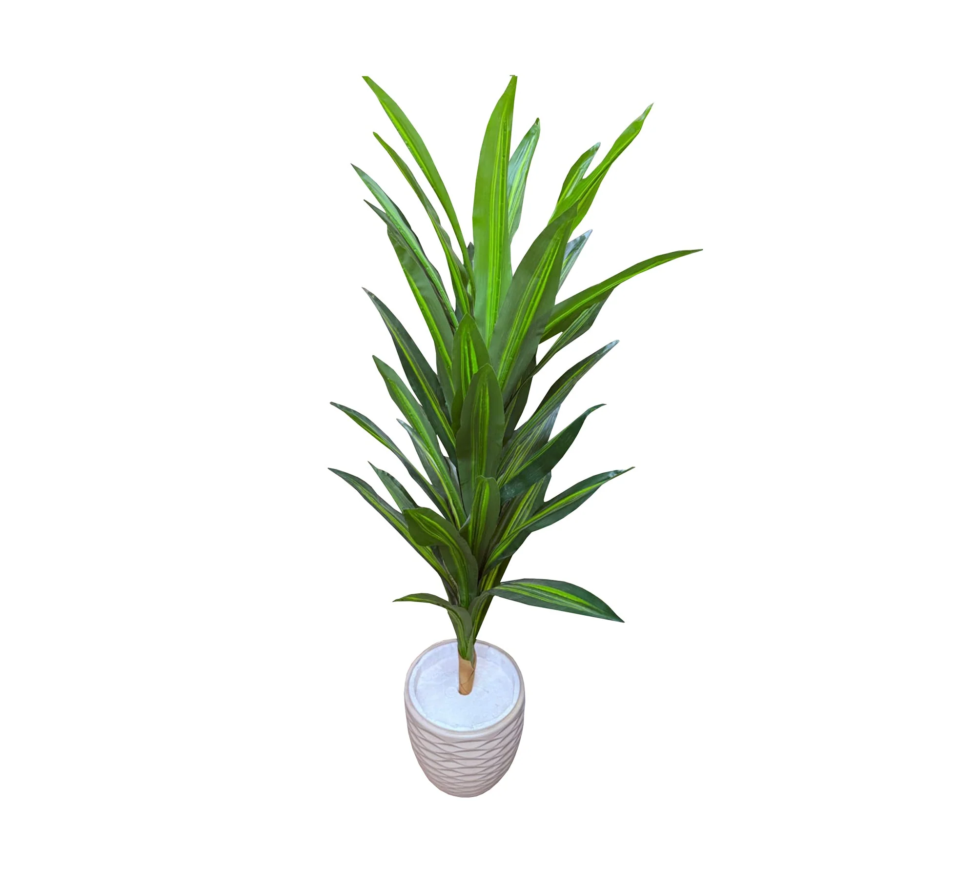صورة المنتج 2