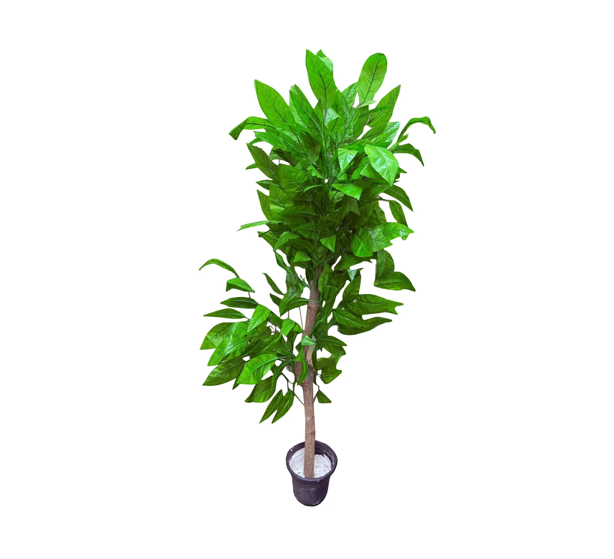 صورة المنتج 2