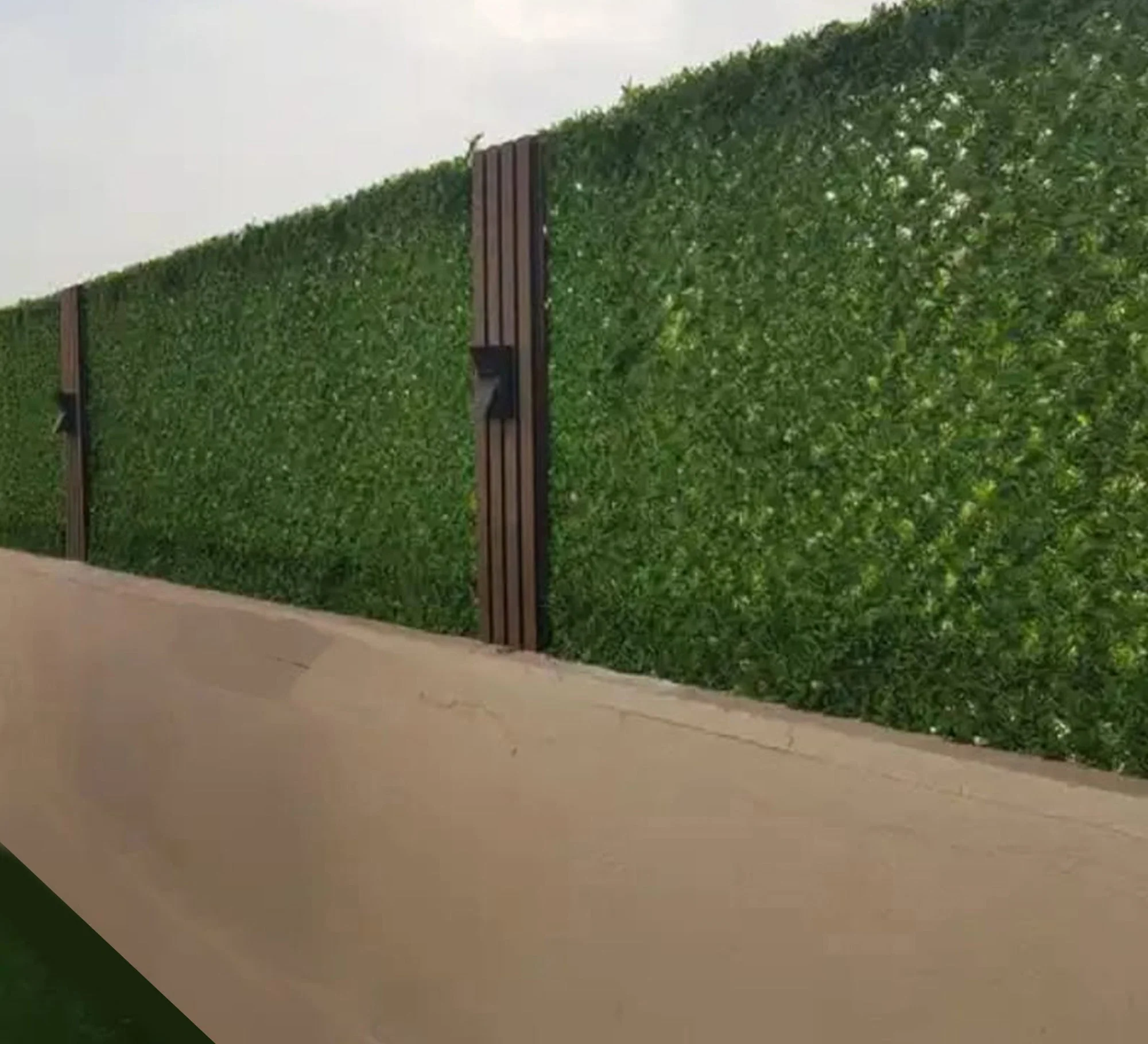 صورة المنتج 3