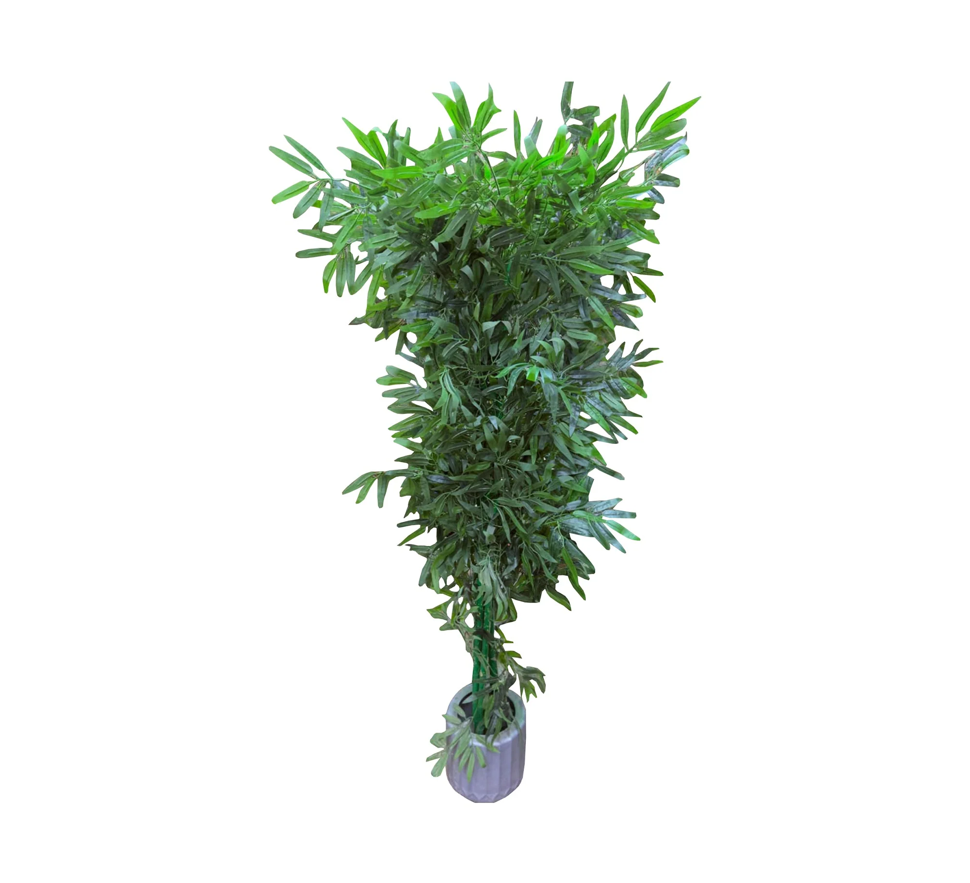 صورة المنتج 2