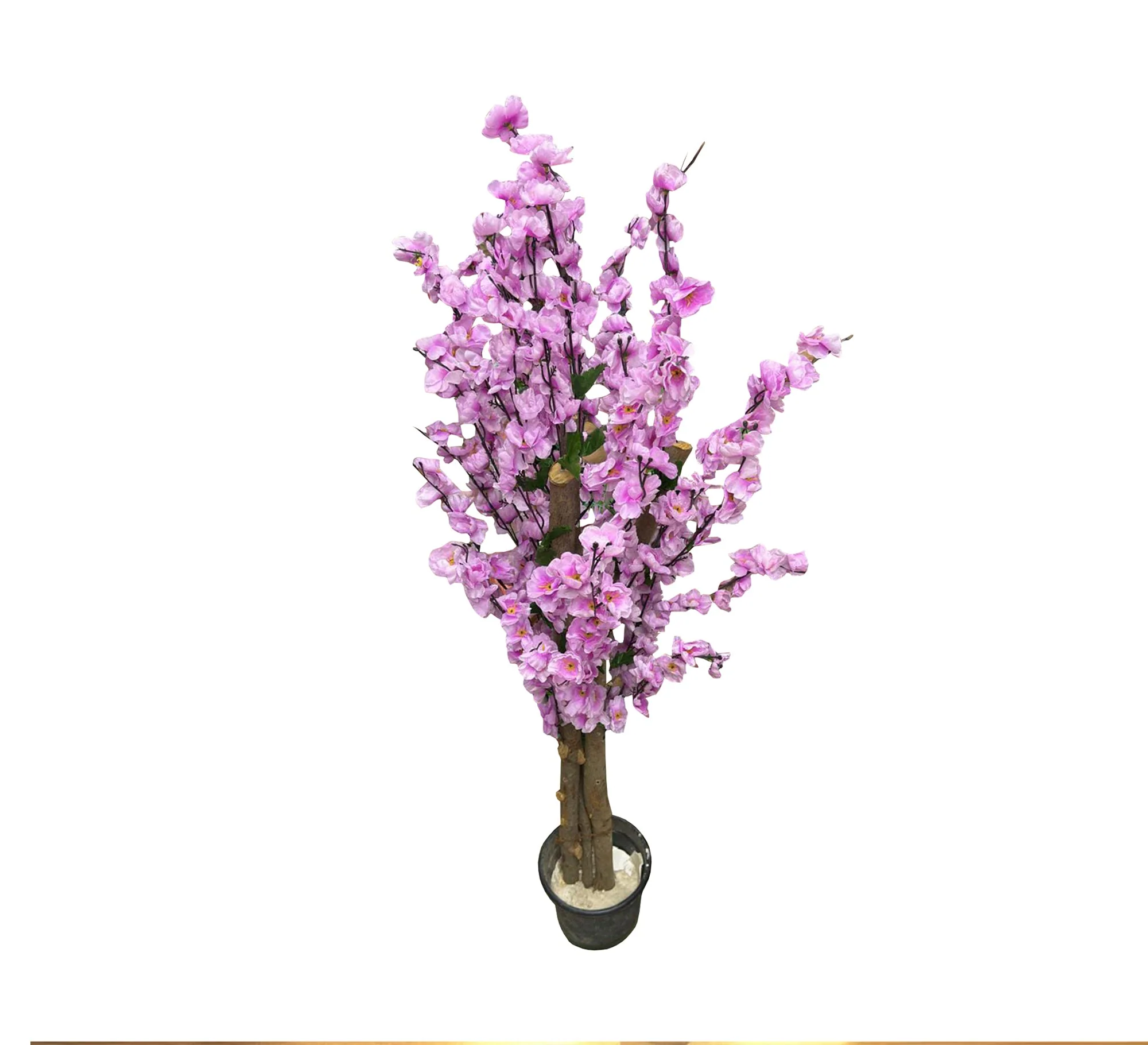 صورة المنتج 2